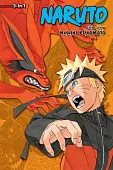 Naruto. 3-in-1 Edition. Volume 17