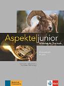Aspekte junior B1 plus. Mittelstufe Deutsch. Übungsbuch mit Audio-Dateien zum Download