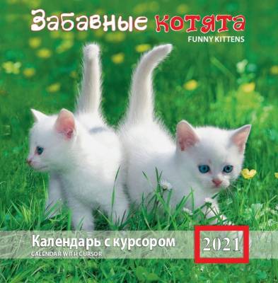 Календарь на 2021 год "Забавные котята" (КР14-21016)