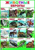 Животные Европы. Плакат