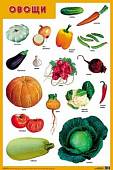 Овощи. Плакат
