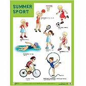 Плакаты "Summer Sport"