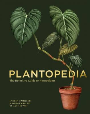Plantopedia. The Definitive Guide to House Plants