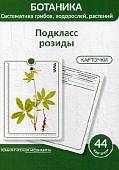 Ботаника. Систематика грибов, водорослей, растений. Подкласс розиды. 44 карточки
