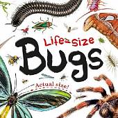 Life-size. Bugs. Board Book