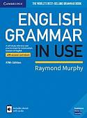 English Grammar in Use Book with Answers and Interactive eBook. A Self-study Reference and Practice Book for Intermediate Learners of English