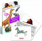 Дидактические карточки. Животные Африки