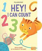 Hey! I Can Count