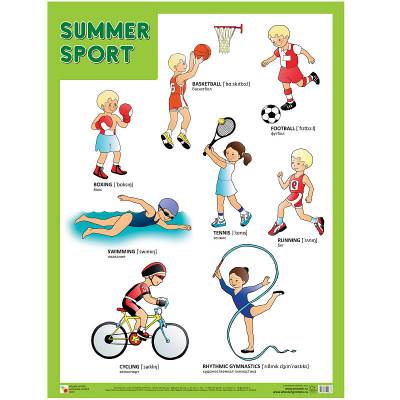 Плакаты "Summer Sport"