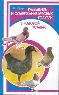 Разведение и содержание мясных голубей в родовой усадьбе