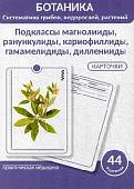 Ботаника. Систематика грибов, водорослей, растений. Подклассы магнолииды, ранункулиды. 44 карточки