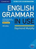 English Grammar in Use Book without Answers. A Self-study Reference and Practice Book for Intermediate Learners of English