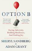 Option B. Facing Adversity, Building Resilience, and Finding Joy